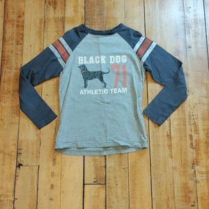 Black Dog Shirt Medium Raglan Long Sleeve Gray Orange Cotton Spring